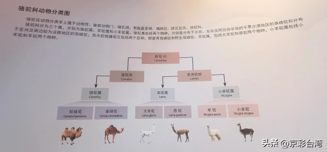 147615fa59a84287a41dcd8746c443eb_tplv-obj_5408_2512