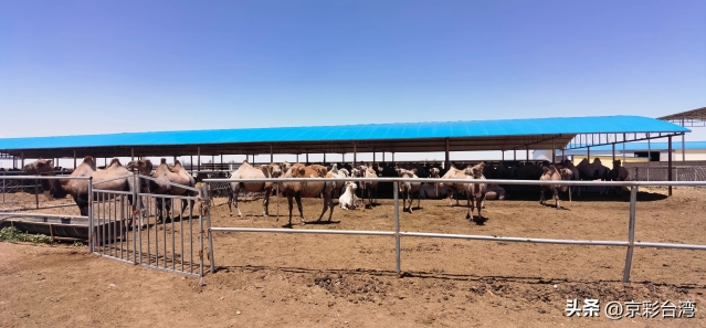 c3191fbd8fe344419cfec678046e956c_tplv-obj_5408_2512